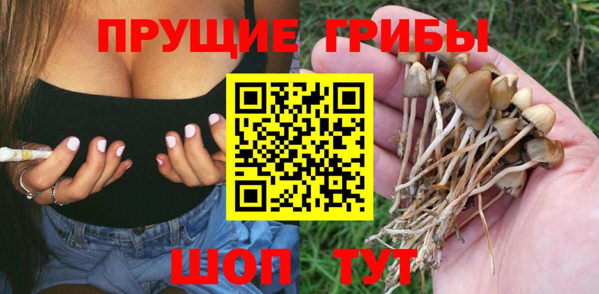 Псилоцибиновые грибы мицелий  Вход с VPN  Псилоцибиновые грибы прущие грибы  Черкесск 