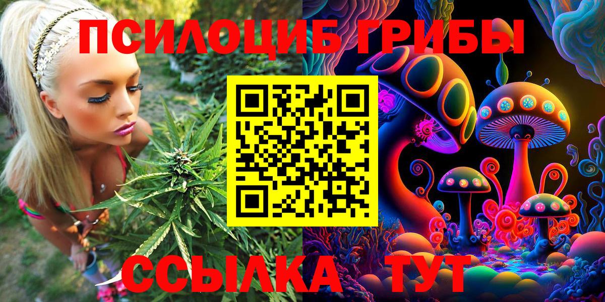 Псилоцибиновые грибы Psilocybine cubensis Черкесск
